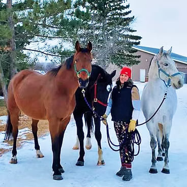 Bay horse and rider performing dressage in an indoor arena
