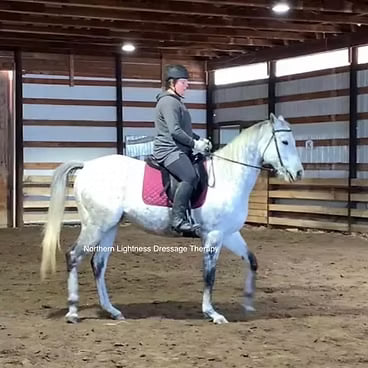 Adult rider performing dressage on a bay horse in an indoor arena