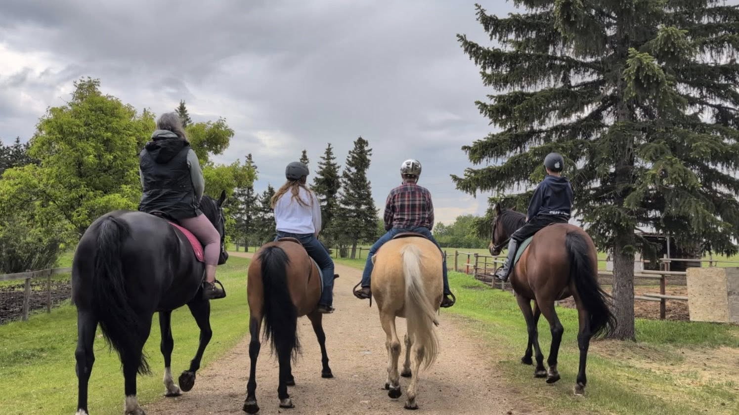 Four riders on horseback heading down a tree-lined lane at Miller Pine Meadows