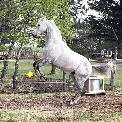 Sound functional athlete!